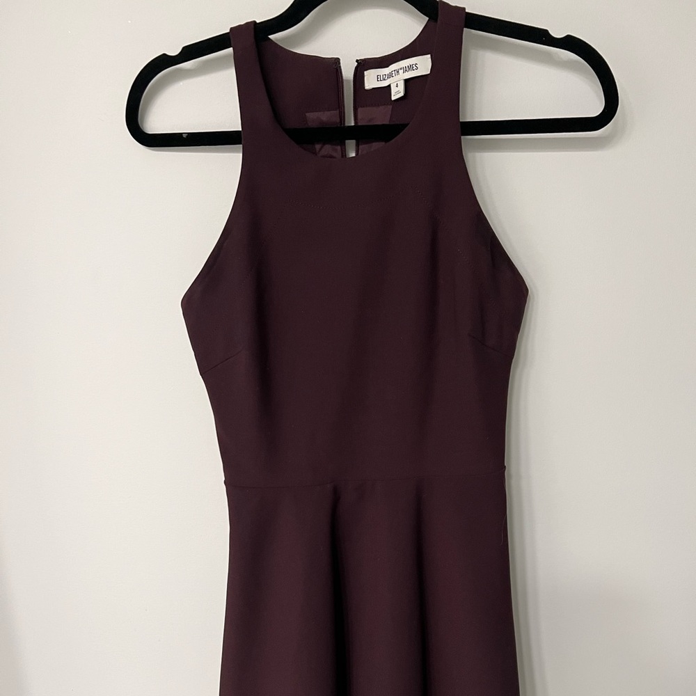Elizabeth & James Cocktail Dress